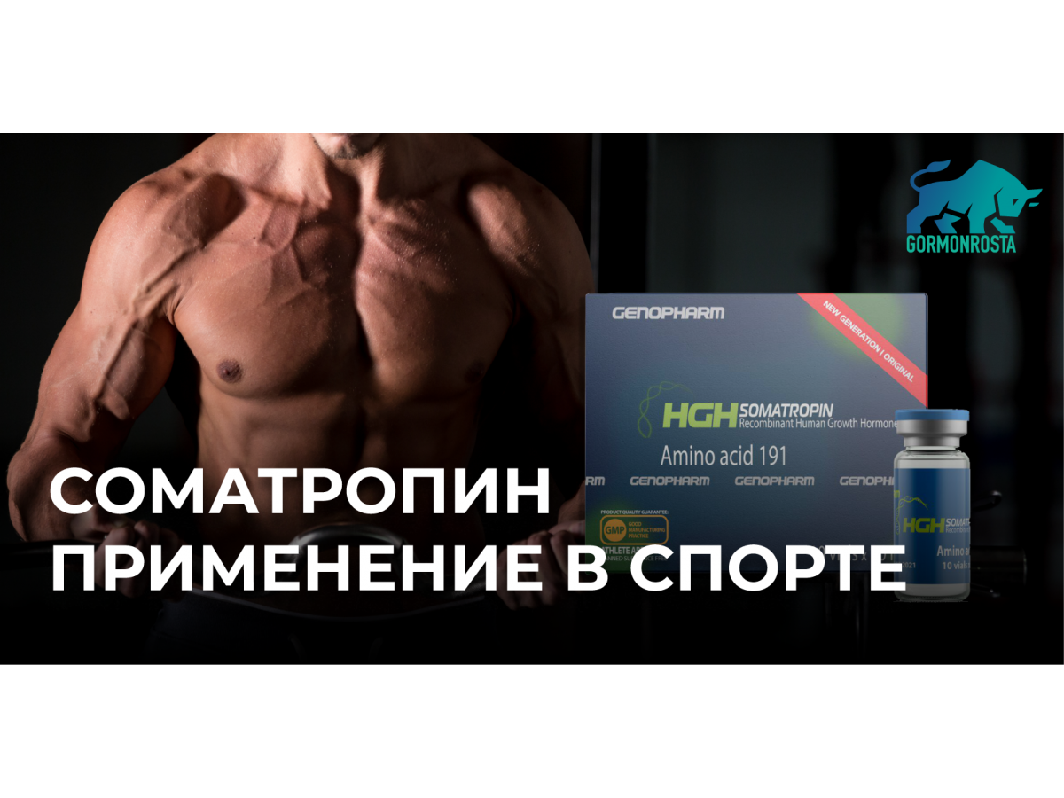 Соматропин купить