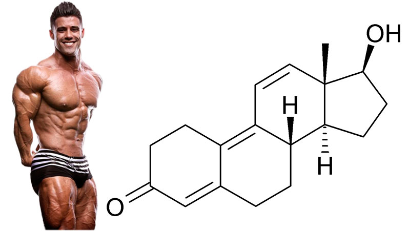 Курс тестостерона