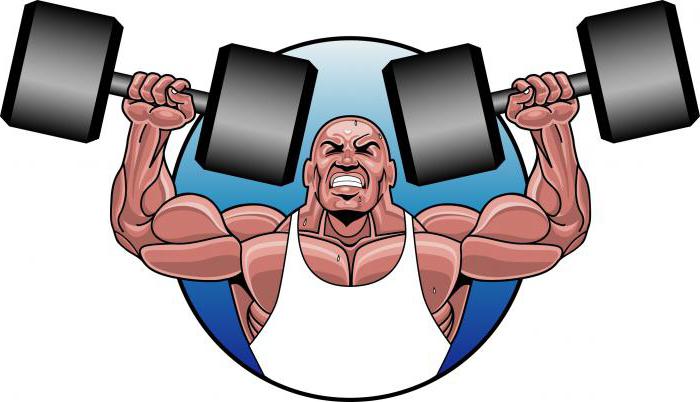 Ансомон как гормон роста