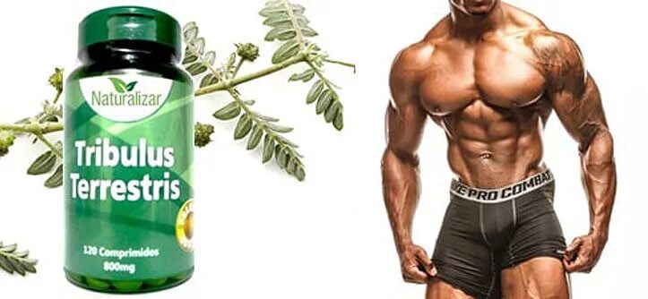 Добавки для повышения тестостерона