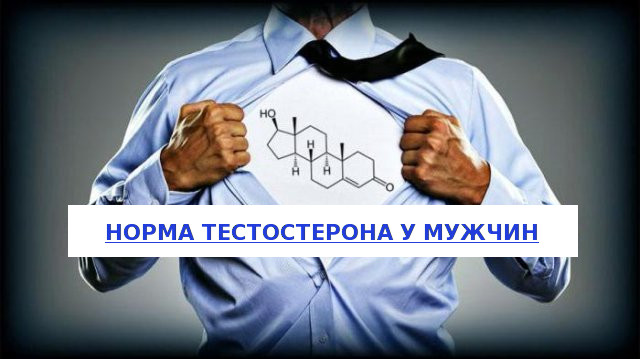 Тестостерон норма