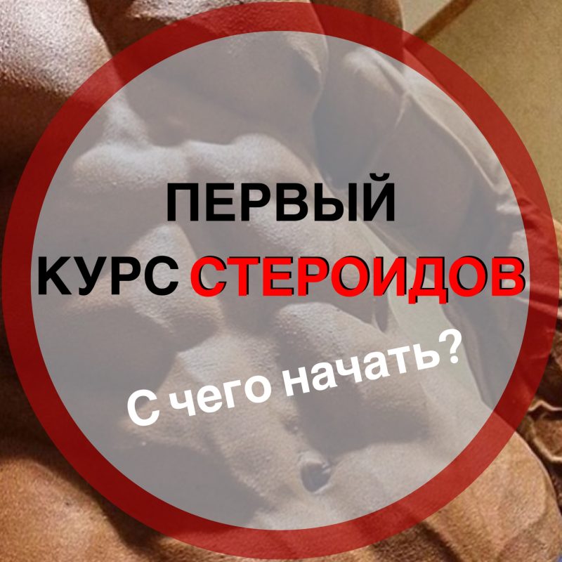 Курсы стероидов для новичков