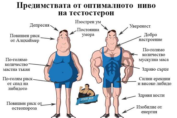 Тестостерон где купить