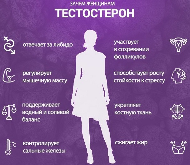 Тестостерон у женщин
